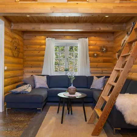 Store Bjorn - 60 Min Osl - Natur - Innsjo 4* Fallet